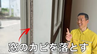 窓のゴムパッキンについたカビを確実に落とす方法