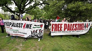 US pro-Palestine protests not ‘happening by accident’ but ‘by design’: Noa Tishby