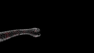 Cinema 4D - Texture , Model and Animate snake .