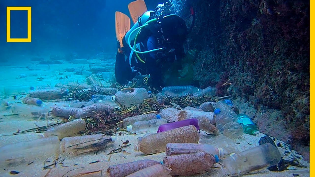 Patitos de goma y otros extraños fenómenos que se producen por tirar tanta  basura al mar