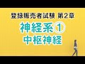 【登販試験2-15】神経系①中枢神経系