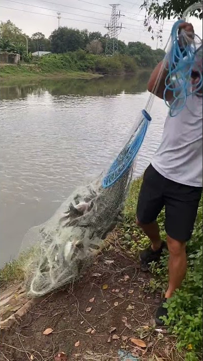 Most Satisfying Cast Net Fishing Video| Tik Tok Fishing Videos