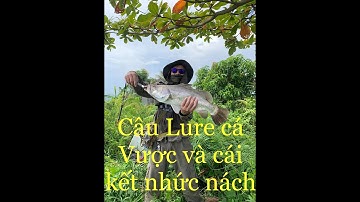 Hành trình câu Cá Vược - Cá chẽm tại Quảng Ninh