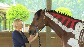 Dressage Explained Part 3: Suppleness Through Flexion and Bend