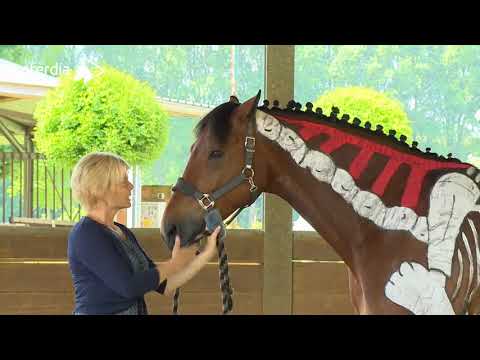 Dressage Explained Part 3: Suppleness Through Flexion and Bend