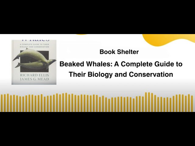 Beaked Whales A Complete Guide to Their Biology and Conservation
