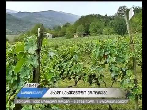 კოოპერატივებს ყურძნის გადამამუშავებელი დანადგარები გადაეცემათ