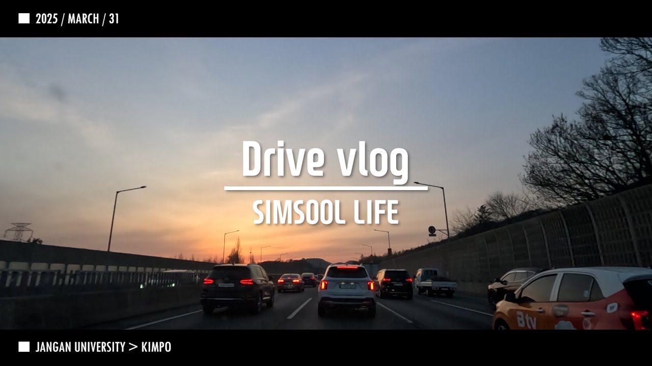 2025 0331 퇴근 Driver Vlog SIMSOOL 장안대 비봉TG 서해안고속도로 김포
