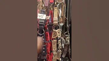 سلاسل كلاب وشددات 