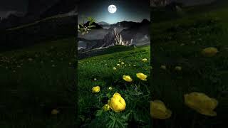 Asma ul Husna |Beautiful kid Voice|#satisfaction #asmaulhusna #recitation #quran #deepsleep screenshot 5