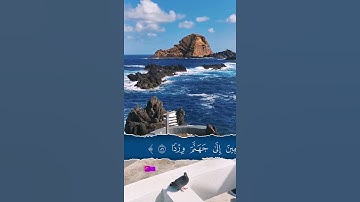 تلاوة مميزة { فَلَا تَعْجَلْ عَلَيْهِمْ ۖ إِنَّمَا نَعُدُّ لَهُمْ عَدًّا .. } عبد الرحمن مسعد