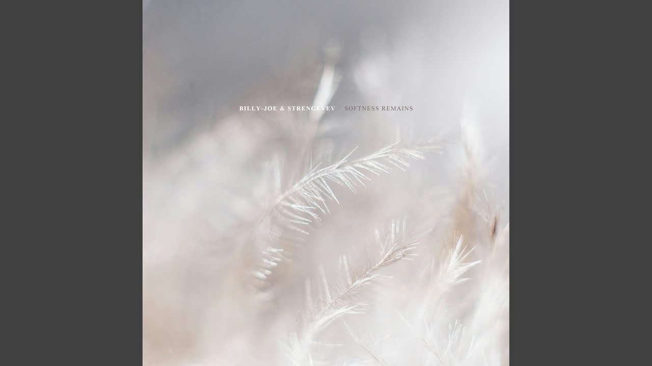 Watch softness remains on YouTube Watch softness remains on YouTube
