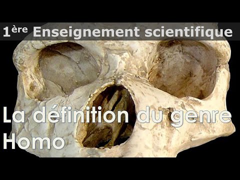 Enseignement scientifique - Terminale - La définition du genre Homo