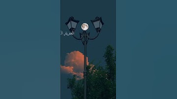 قران كريم ايات تريح القلب اجمل صوت قران كريم #سعد_الغامدي #الهدى ـ والضياء للقران الكريم
