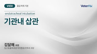 [베터플릭스][흡입 마취 기본] 기관내 삽관(endotracheal intubation)