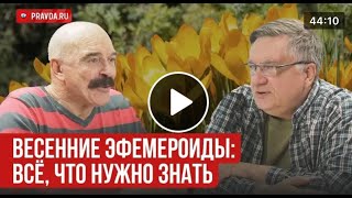 Прекрасные эфемероиды. Гид по весенним цветам