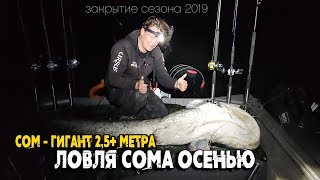 Рыбалка 2019 на сома. Осенняя ловля трофейного сома Рыбалка 2019 на сома. Осенняя ловля трофейного сома