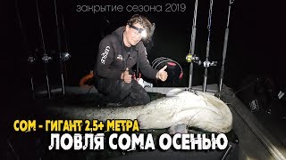 Рыбалка 2019 на сома. Осенняя ловля трофейного сома