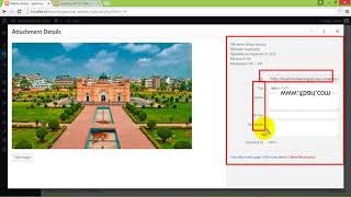 29  Wordpress Dashboard 05  ITBari Tutorials