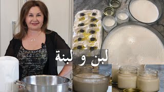 طريقه ترويب (تخثير) اللبن ولبنه بالبيت بطريقة ناجحة Homemade yogurt samira's kitchen episode # 252