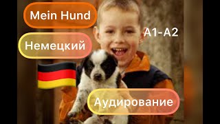 Mein Hund. Немецкий. Аудирование. A1-A2