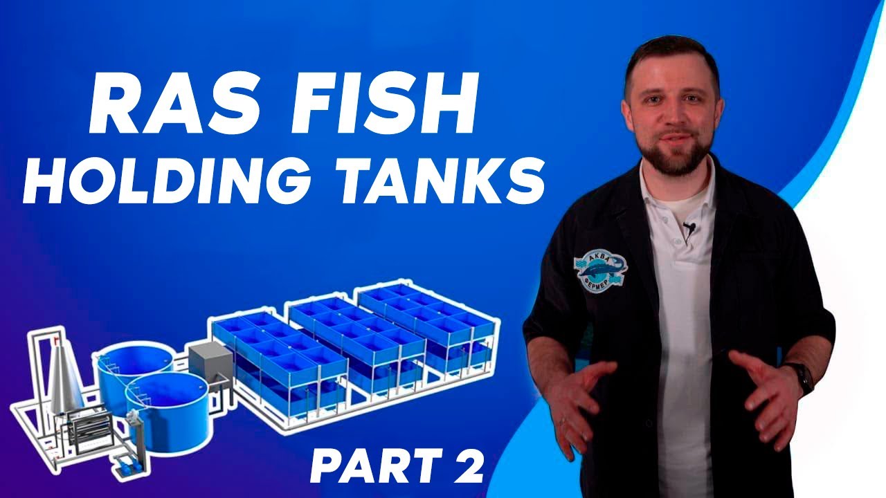 RAS fish HOLDING TANKS | Everything that is IMPORTANT to know about ...