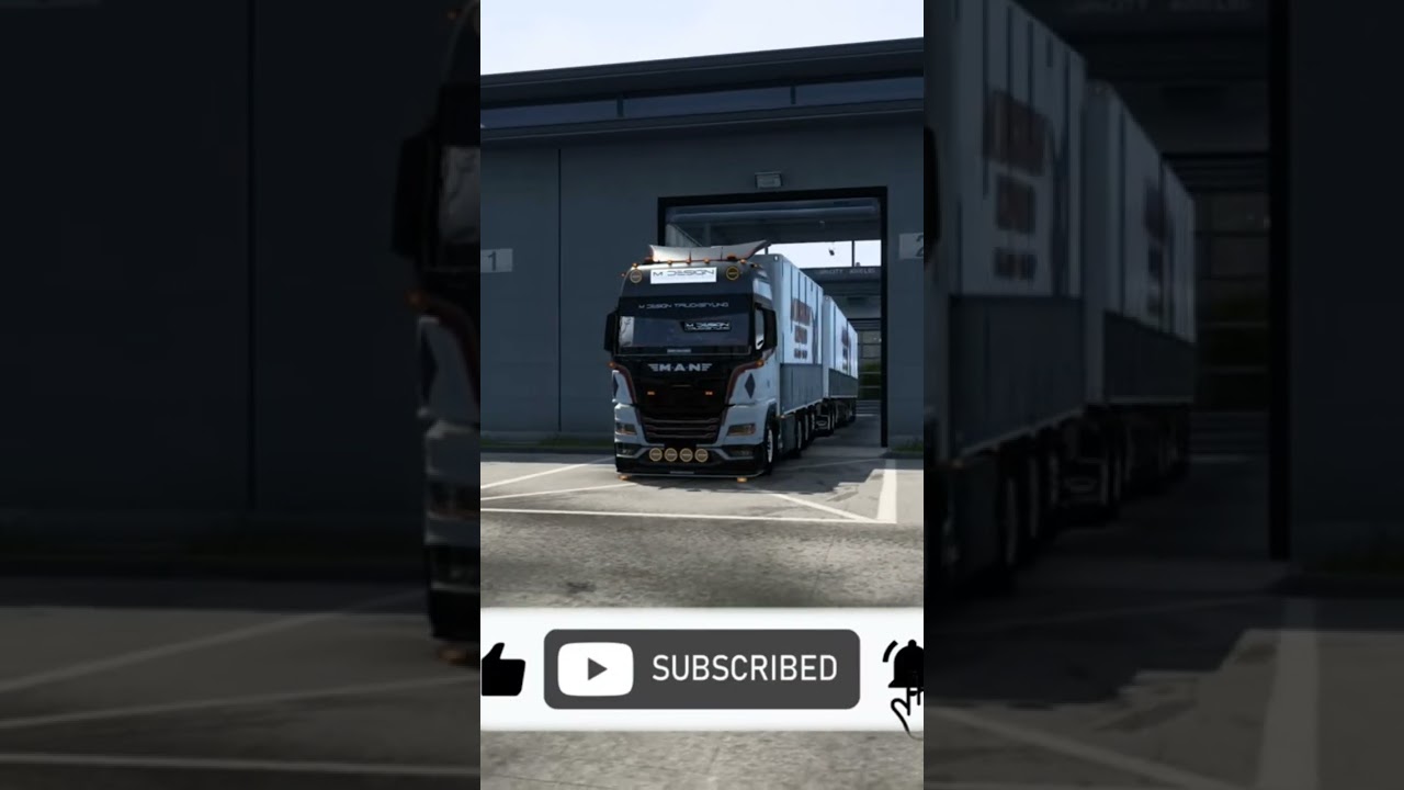MAN TGX 2020 CUSTOM SKIN + RIGID CHASSIS  EKERI 