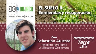 El suelo II: Enmiendas y recuperación