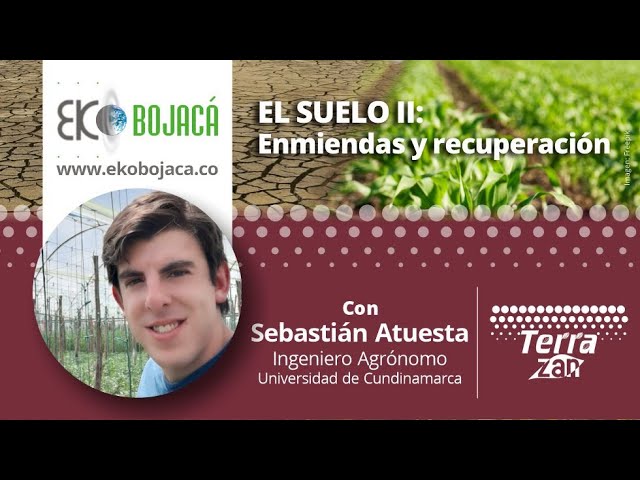 El suelo II: Enmiendas y recuperación