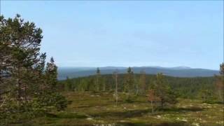 På topptur til Raskiftet - FYSAK turmål i Hedmark/Åmot