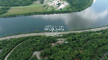 إن الحسنات يذهبن السيئات - القارئ ماهر المعيقلي - سورة هود