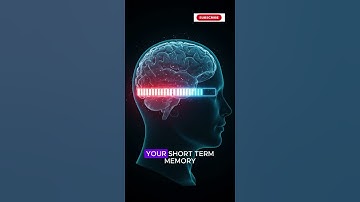 The Doorway Effect: Why You Forget Things Instantly 🚪🧠