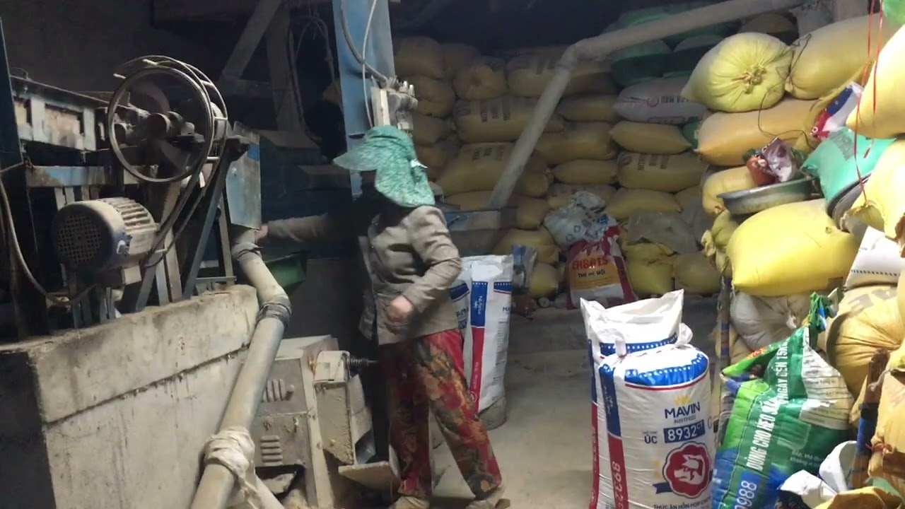 một ngày làm việc của tôi