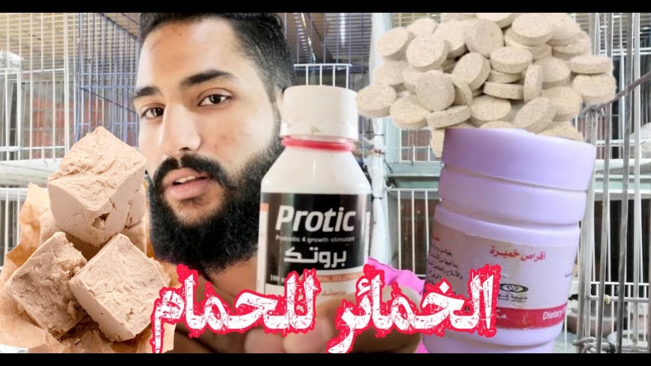 الخميرة مهمة جدا للحمام تعالي اعرف فوائدها وازاي تستخدم اي نوع خميرة