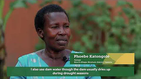 Harnessing farmer-led adaptation for sustainable livestock systems