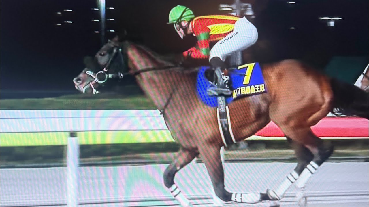 勝島王冠2025を制したのはキングストンボーイ🫅吉原騎手重賞通算200賞達成！