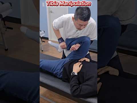 후방 경골 posterior Tibia manipulation 카이로프랙틱 도수치료 교육 #카이로프랙틱 #카이로프랙틱교육 #도수치료 #경골 #tibia #manipulation