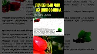 лечебный чай с шиповника#shorts