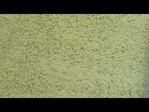 Arnica Hydra Rain