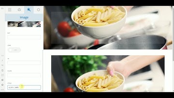 Section Background VS Image Element in Cornerstone Page Builder