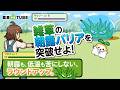 ふたばの農業研修 第7話 朝露＆低温に負けない！篇
