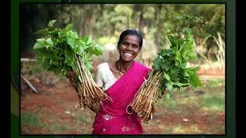 Meaning and nature of Public Administration - part-B