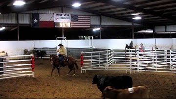 Highbrow Magic Man - 11/24/12 RSNC Show - #6 class - 53.72 on 5 head - Valley View Ranch