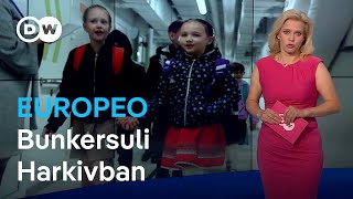 Ukrán iskola a föld alatt; EP-választás: lesz jobbratolódás?; Szerbia: méhek a nappaliban | Europeo
