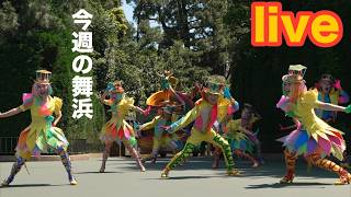 ハモカラ再開【『船長の目指せDオタ』第132回】