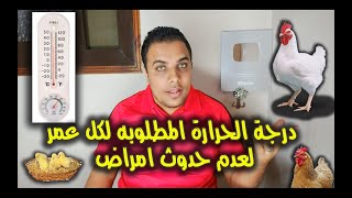 درجة الحرارة المطلوبه لكل عمر لعدم حدوث امراض // عشاق الدواجن