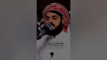 رعد الكردي سورة الحجرات #رعد_الكردي #سورة_الحجرات #islam #quran