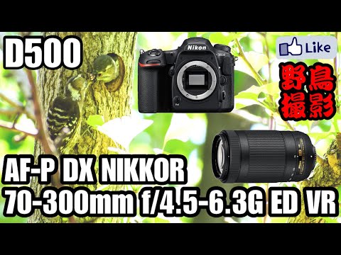 Nikon D50 NIKKOR 70-300mm F4-5.6G セット Nikon AF-P DX NIKKOR 70-300mm f/4.5-6.3G ED Lens |Super