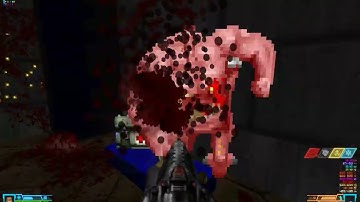 Doom 2 Project Brutality Amalgoom Map 11 - Circle of Life and Anomalies