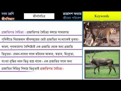 ভিডিও: কিভাবে জীববৈচিত্র্য মানুষের কার্যকলাপ দ্বারা প্রভাবিত হয়?